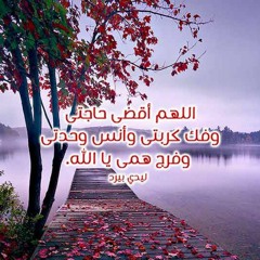 Mahemed calesk Mahemed calesk