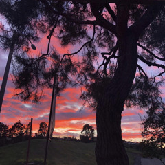 𝘫𝘫𝘶𝘶𝘥𝘥𝘦𝘦