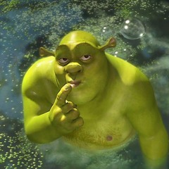 Francisco Ferdinando da Áustria-Hungria