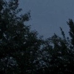 A carcass, forgotten