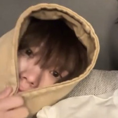 작은하얀고양이