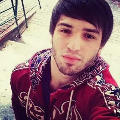 سبعة عشر الإبل