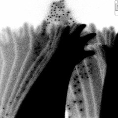 V I A L A C T E A E A N D R O M E D A By 𝔅𝔢𝔪 𝔱𝔢 𝔳𝔦