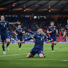 Matthew Johnstone