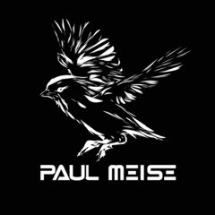 Paul Meise