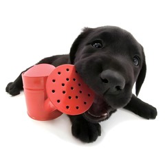 Autumn.Falls.Tonight.