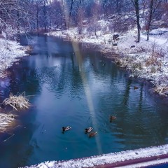 נ.נח.נחמ.נחמן.מאומן😝🥳🤡👾