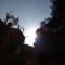 marwa