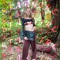 STARGIRL