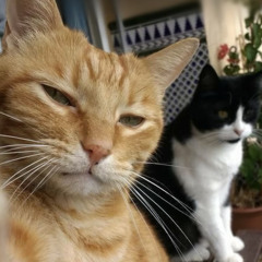 Trịnh Vân❤️‍🔥