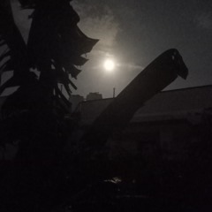 some nobody from india