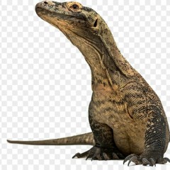 lizard_king