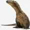 lizard_king