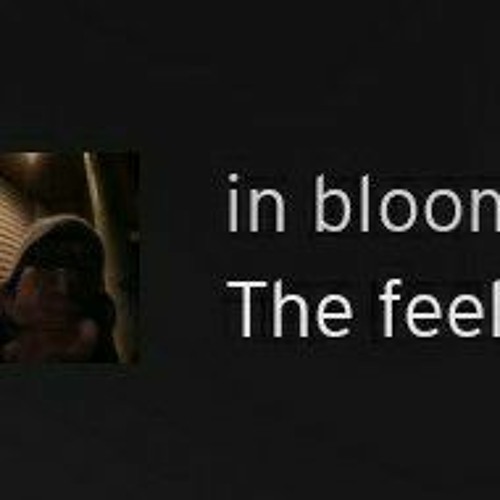 and the song remains insane