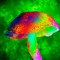 Shroom