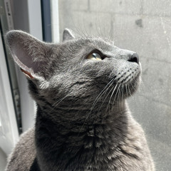 louineverdie