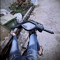 giahung102