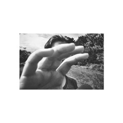 Animals In San Marcos