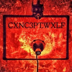 CXNC3PT: [WXLF]