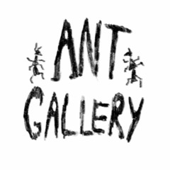 Ant Gallery