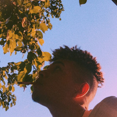 wesley_simoes
