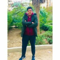 Mahmoud Elsayed