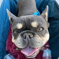 Ronnyyow
