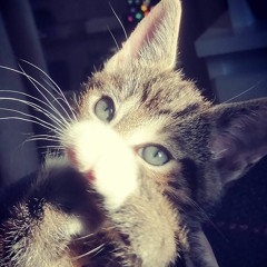Melomaniac<3