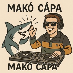 DJ Spinatra