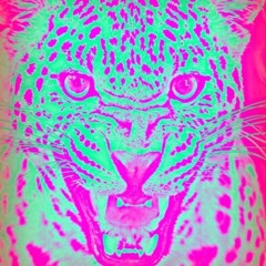 hypergloss