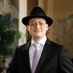 Shalom Mann
