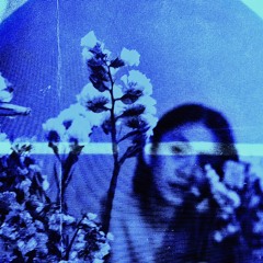 sasha ningkan