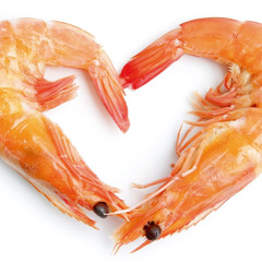 R.W.A (REJERS WITH ATTITUDE) #REJERGANGGGGGGG