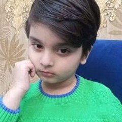 Hakim Ali