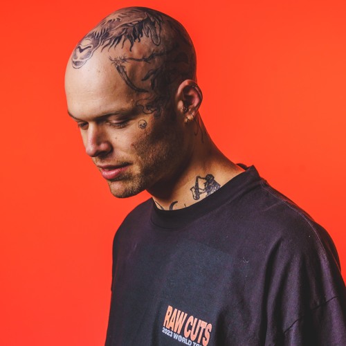 N2N artist photo