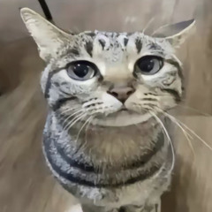 evrsusx