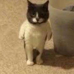 lildallydally