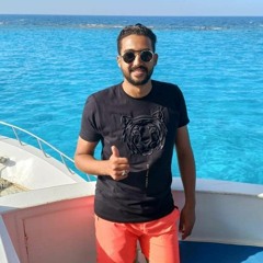 Abdo Mohey Eldin abdelhakem