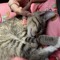 awe