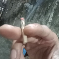 pega nunca só 2.500