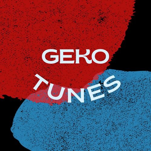 geko’s avatar