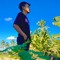 Wandi