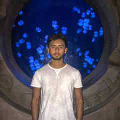 Aamish Rafique
