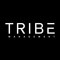 TRIBE Management
