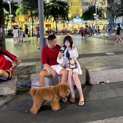 Huy Phú Thịnh✅