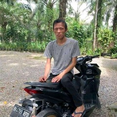 Heryy Lubis