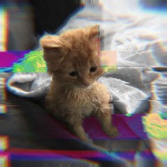 user.prototype.calmdown