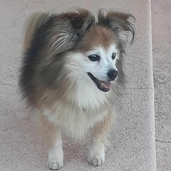 kneeland knew grass teddy ruckspins