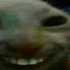 Krainzuu