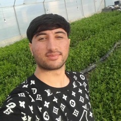 یاسر جمشیدی